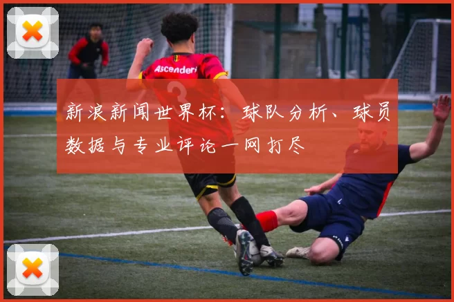 新浪新闻世界杯:球队分析、球员数据与专业评论一网打尽