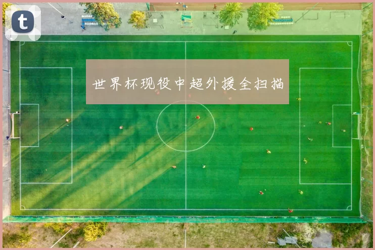 世界杯现役中超外援全扫描