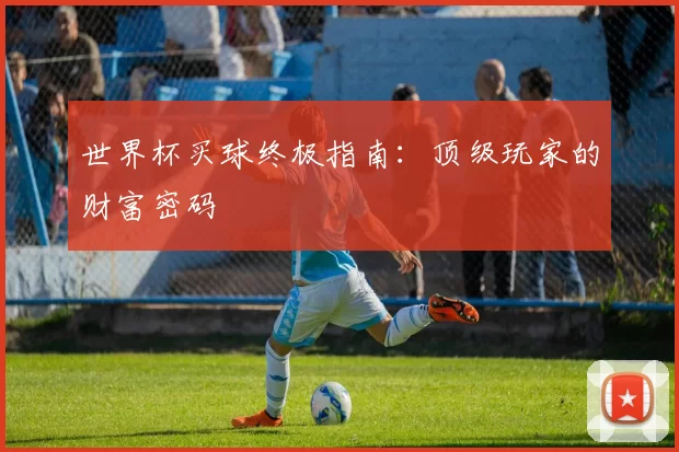 世界杯买球终极指南:顶级玩家的财富密码