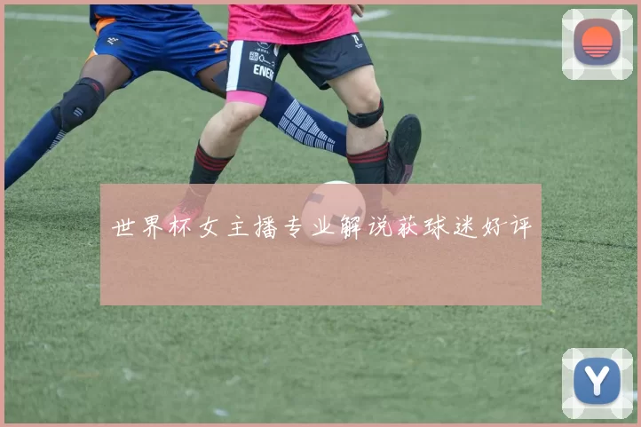 世界杯女主播专业解说获球迷好评