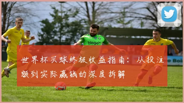 世界杯买球终极收益指南:从投注额到实际赢钱的深度拆解
