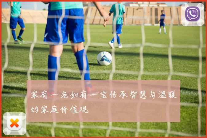 家有一老如有一宝传承智慧与温暖的家庭价值观