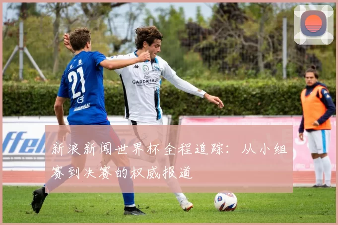 新浪新闻世界杯全程追踪：从小组赛到决赛的权威报道