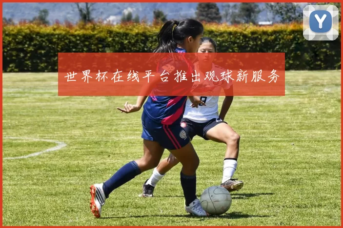 世界杯在线平台推出观球新服务